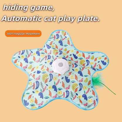 Catch the star. The best game for you pet