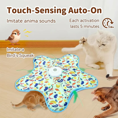Catch the star. The best game for you pet